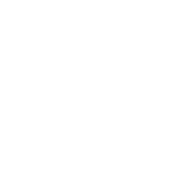 OTI Logo